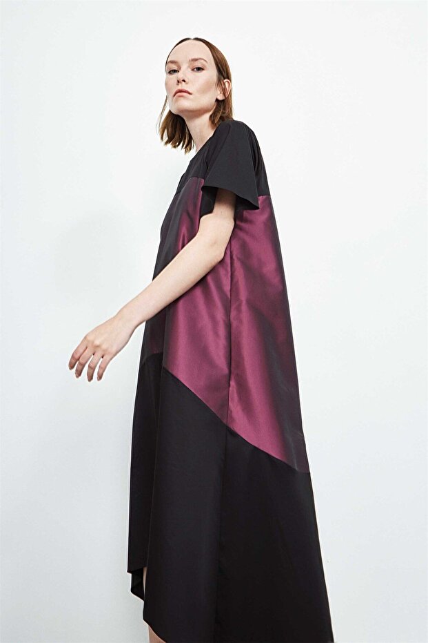 Tafta Detaylı Elbise - 3