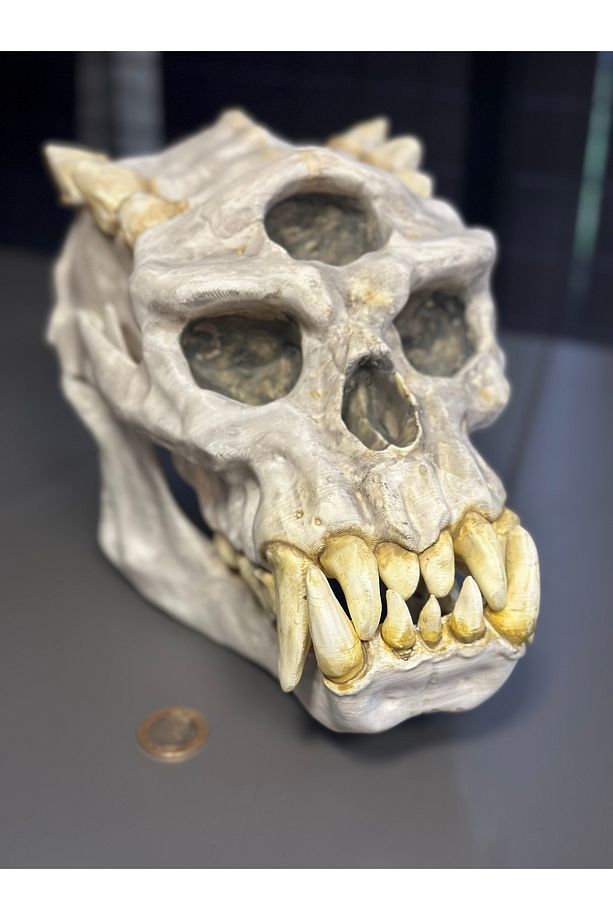 Troll Skull (Skyrim) Figür / Biblo - 1