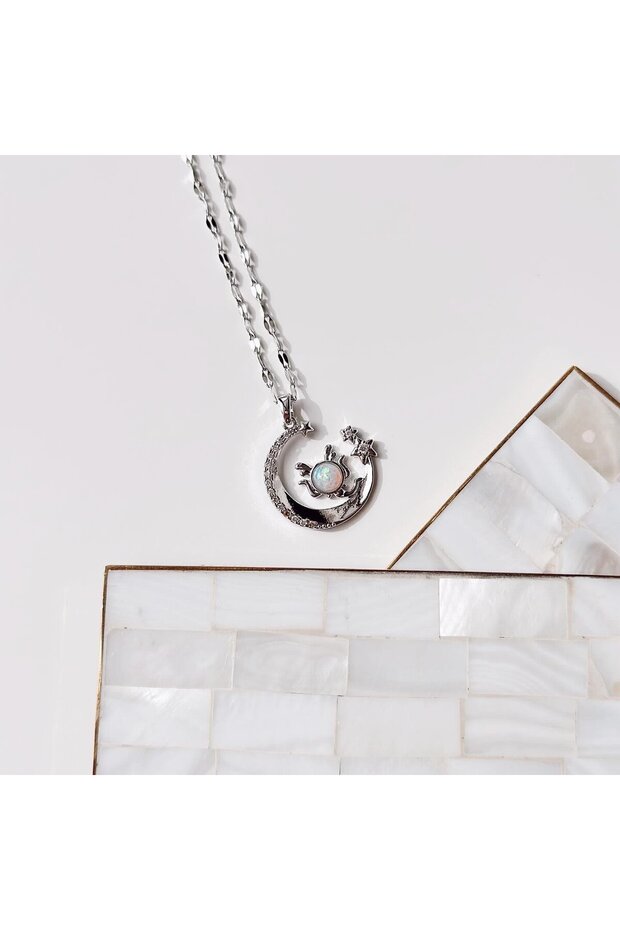 Chiaro di luna gray Steel Necklace