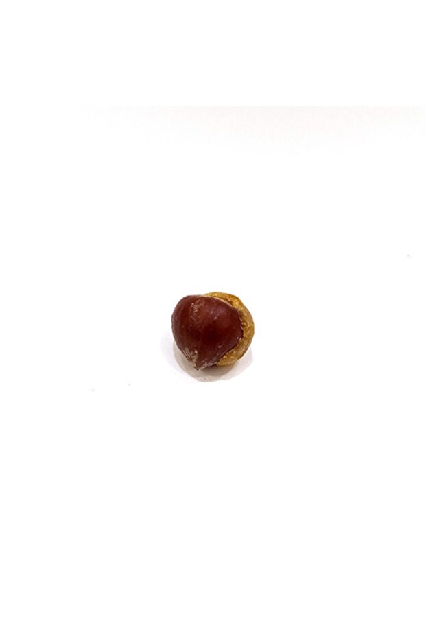 Civalı Hazelnut - 1