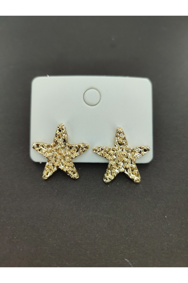 Star Pattern Earrings - 2