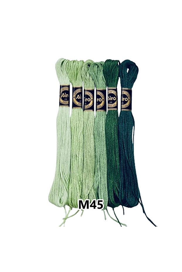 Airo Muline Etamine Cotton Embroidery Thread Set of 6