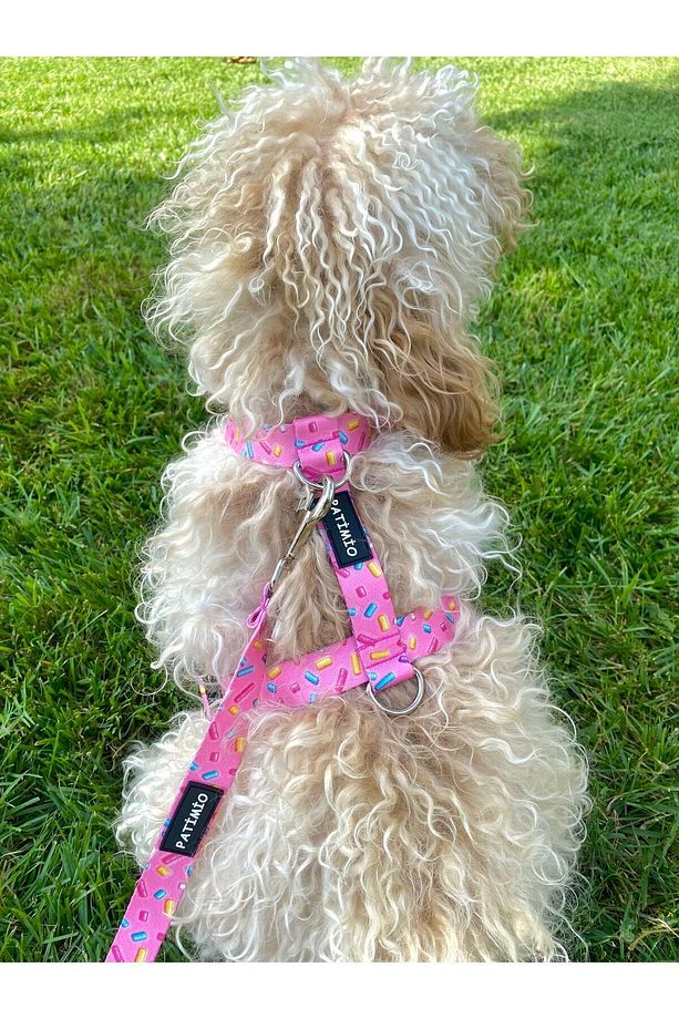 Pink Bones Köpek Göğüs, Boyun Ve Gezdirme Tasma Seti - 6