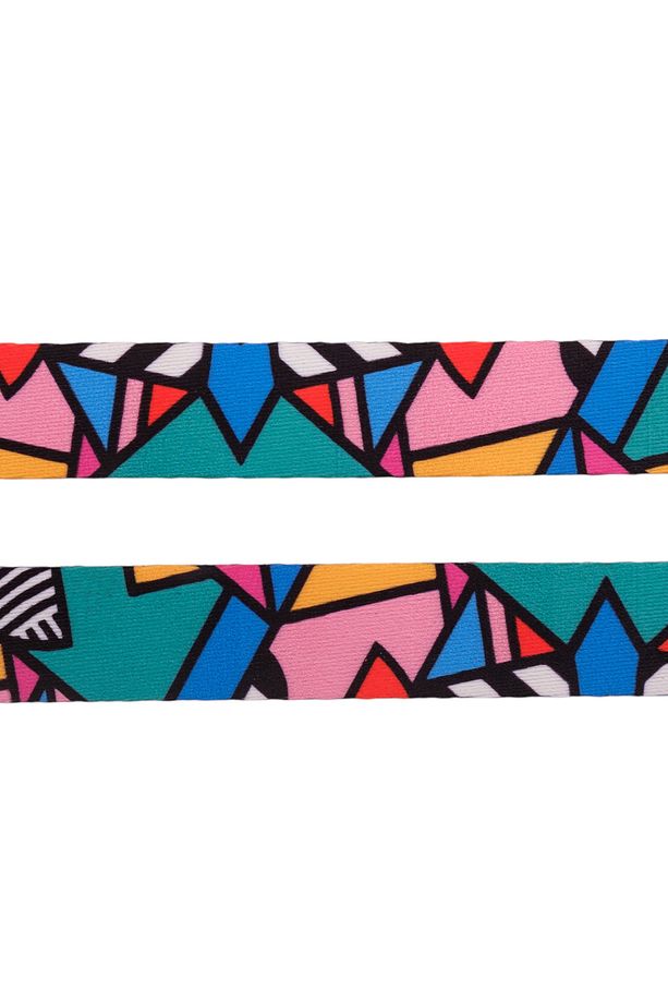 Colorful Köpek Gezdirme Tasması - 5