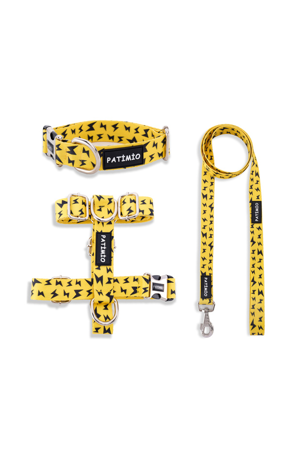 Yellow Boom Köpek Göğüs, Boyun Ve Gezdirme Tasma Seti - 1