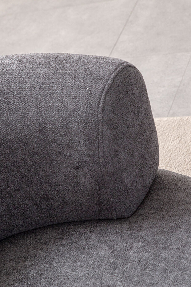 Roma Berjer Koyu Gri - 4