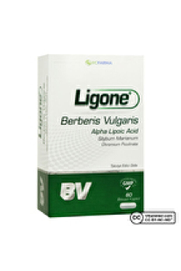 Berberis Complex 60 Kapsül ( 1 ADET ) - 1