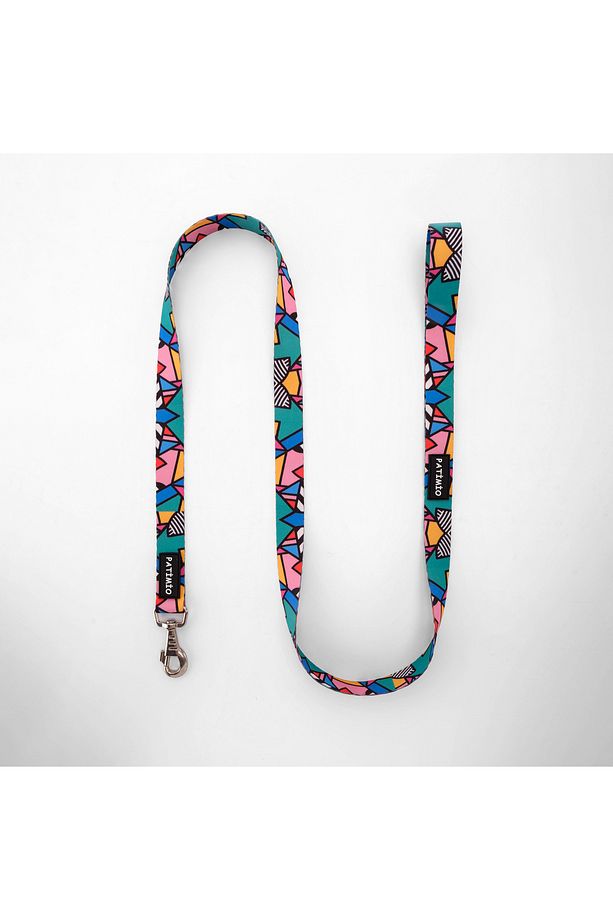 Colorful Köpek Göğüs, Boyun Ve Gezdirme Tasma Seti - 5