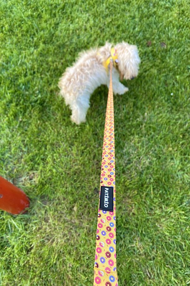 Donuts Köpek Göğüs, Boyun Ve Gezdirme Tasma Seti - 6