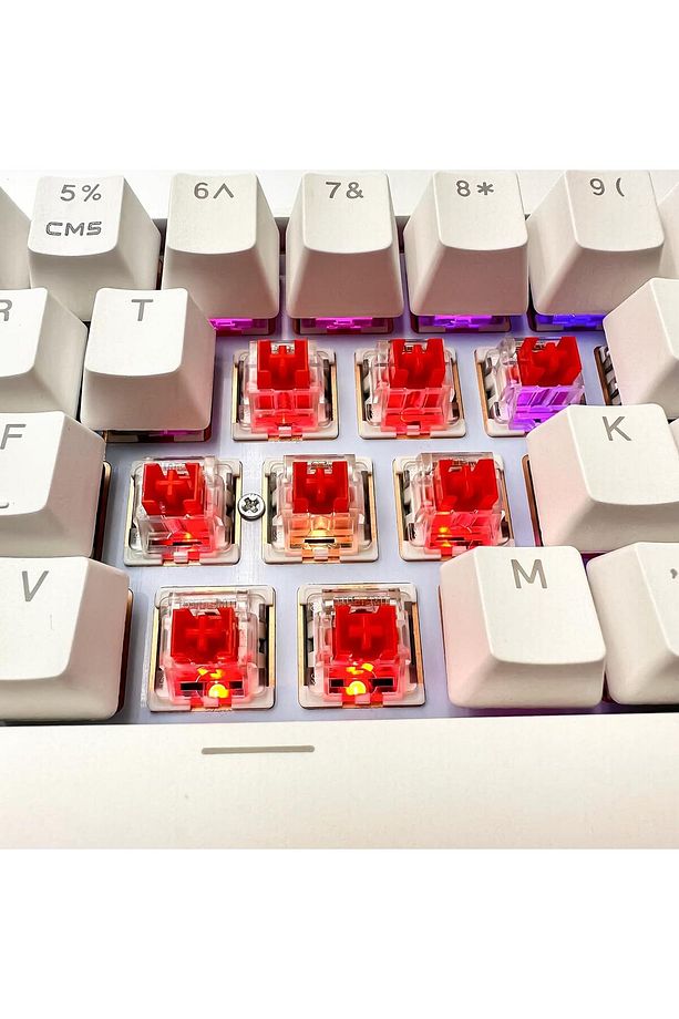 Leaven Red Switch-3 Pin (30 ADET) - 6