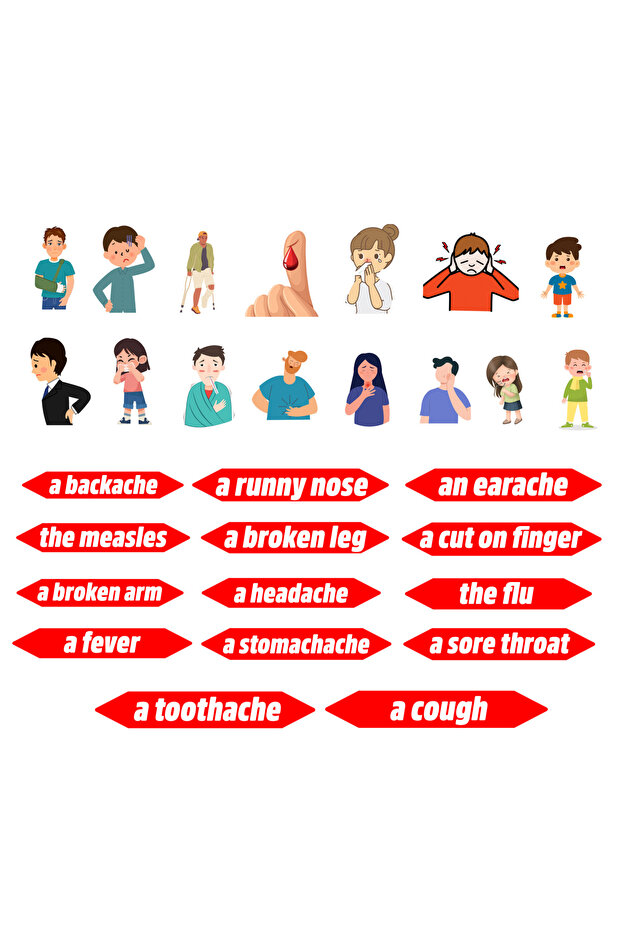 مواد تعليمية من اللباد للأمراض - 1