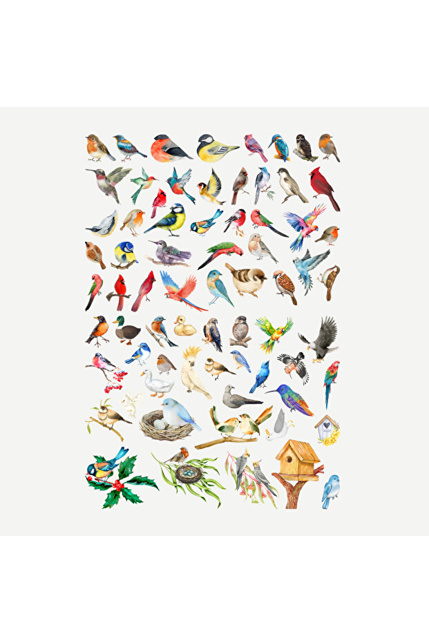 70 Pieces Fairycore Bird Sticker Set - Sticker Set Scrapbook Bullet Journal
