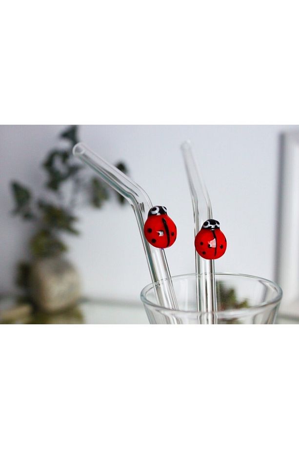 Karışık Hayvan Figürlü 6’lı Cam Pipet Set - 3