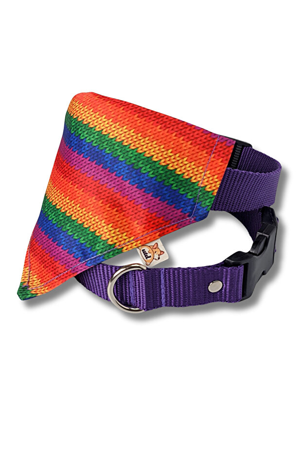 Dog Collar with Rainbow Scarf