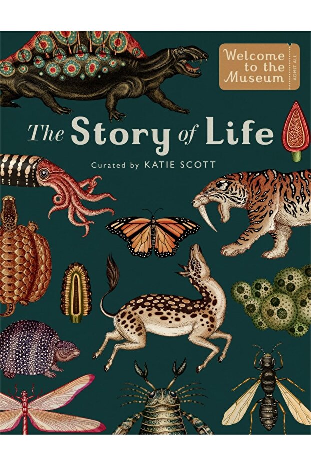 The Story Of Life: Evolution (EXTENDED EDITION)