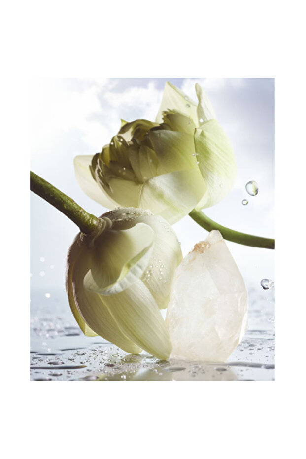 Man Rain Essence -EDP Yağmurun dönüştürücü gücüne övgü 100 ML - 4