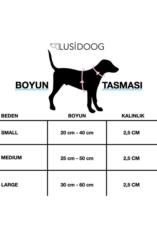 Kalpli Papyonlu Köpek Boyun Tasması - 2
