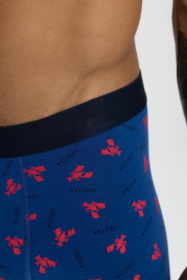 Regular Fit 3'lü Boxer C3291ax24sm - 4