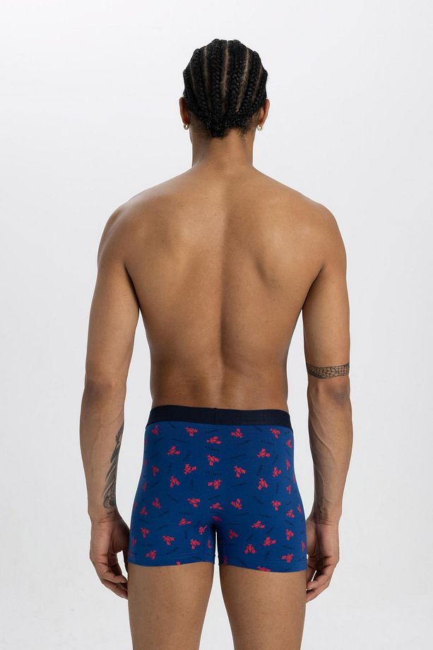 Regular Fit 3'lü Boxer C3291ax24sm - 3