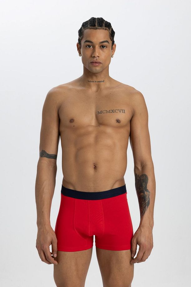 Regular Fit 3'lü Boxer C3291ax24sm - 5
