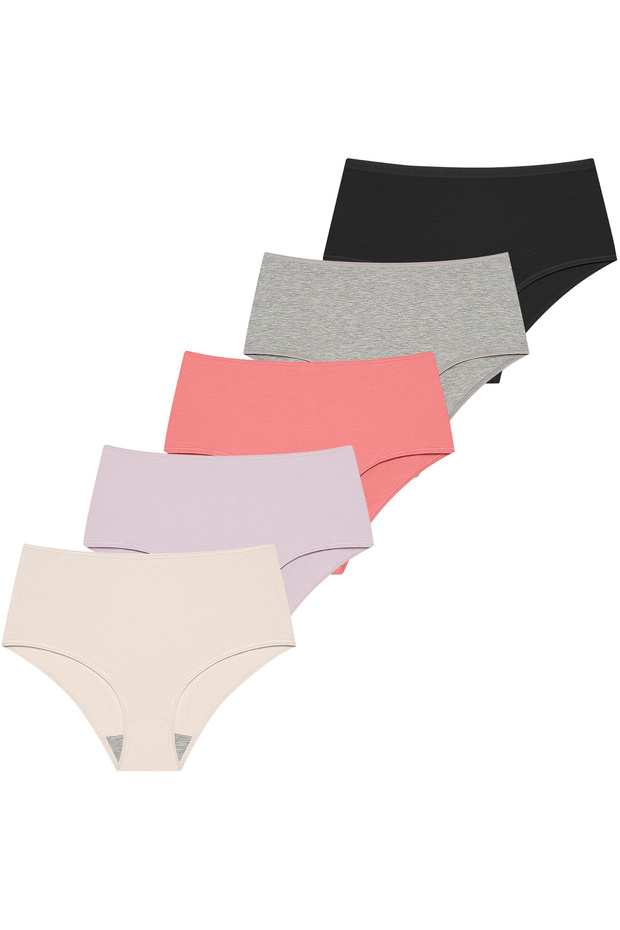 Lycra Box of 5 Premium High Waist Panties Suitable for Daily Use Berry G-007 B