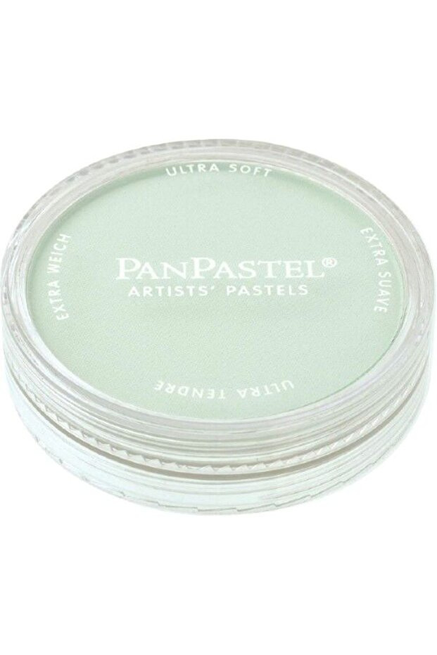 Ultra Soft Artist Pastel Paint Permanent Green Tint 26408