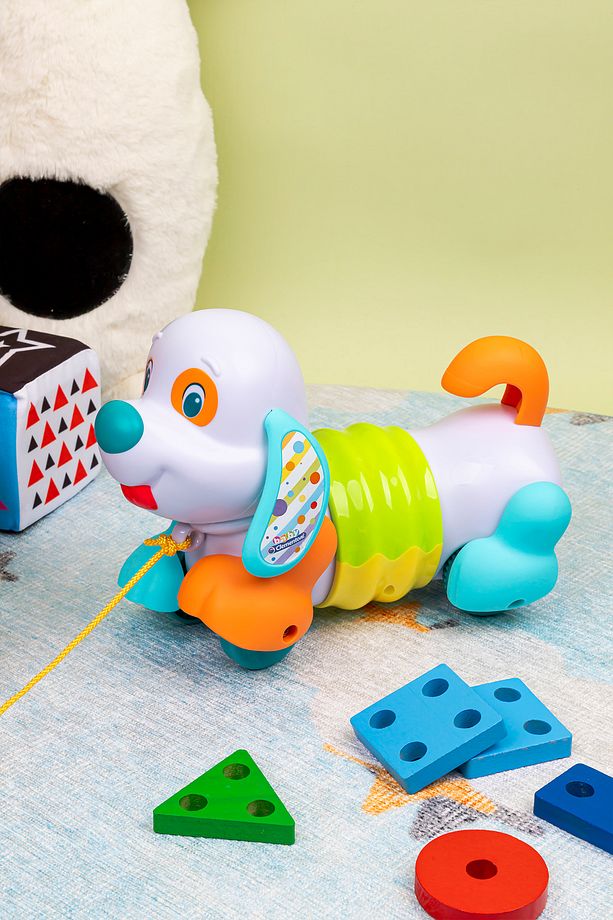 Çekilebilir Köpekçik - 3