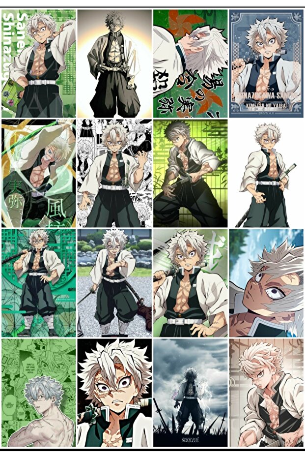 Sanemi Shinazugawa Patterned Design 16' L Photocard Set