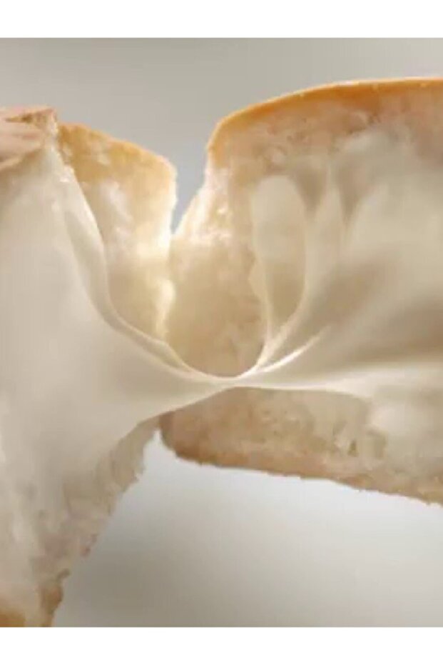 Puck Krem Peynir 500 gr - 5