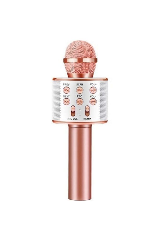 C-8500 Sihirli Bluetooth Karaoke Mikrofon Usb Kart Girişi - 1