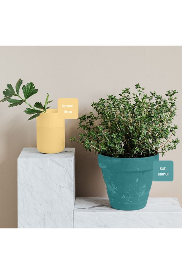 Lemon Drop Multisurface Kendinden Vernikli Akrilik Boya 250ML - 2