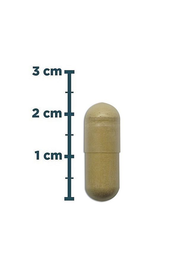 Milk Thistle Complex 120 Kapsül - 4