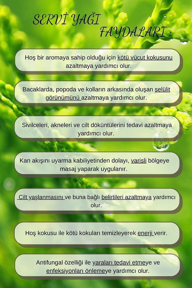 Servi Yağı %100 Saf - Bitkisel Aromaterapi Selvi Uçucu Yağı 10ml-cypress Oil *difizöre Uygun - 5
