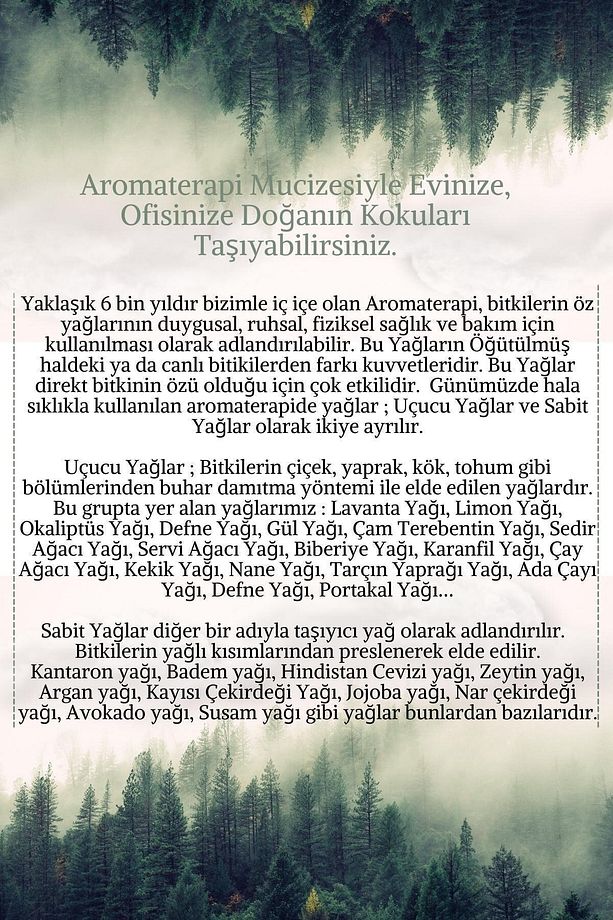 Servi Yağı %100 Saf - Bitkisel Aromaterapi Selvi Uçucu Yağı 10ml-cypress Oil *difizöre Uygun - 4