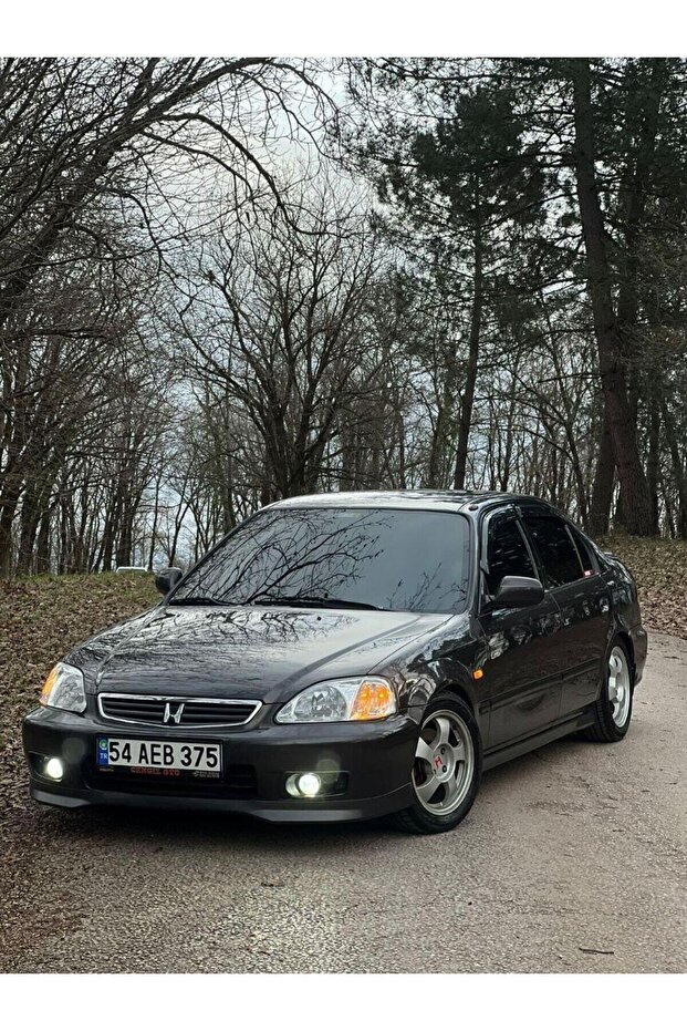 Altın Oran Gold Class Seramik Wax Krem Cila Boya Koruma 100 GR Sünger & Bez Hediyeli - 4