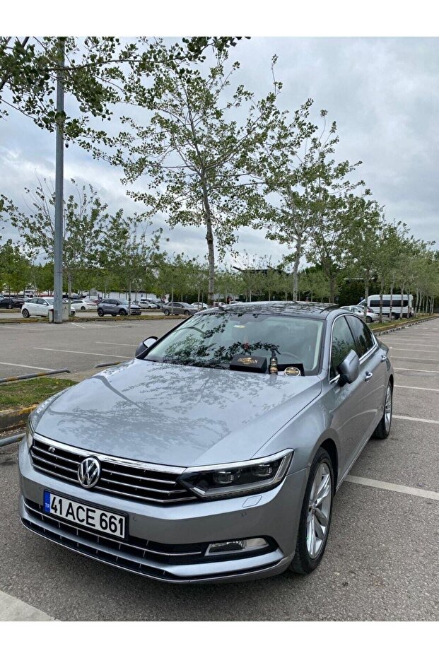 Altın Oran Gold Class Seramik Wax Krem Cila Boya Koruma 100 GR Sünger & Bez Hediyeli - 3