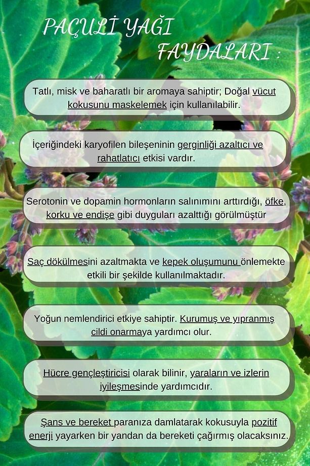 Paçuli Yağı %100 Saf * Bitkisel Aromaterapi Paçuli Uçucu Yağı 10ml * Patchouli Oil * Difizöre Uygun - 5