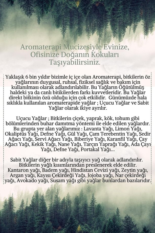 Tarçın Yağı %100 Saf- Bitkisel Aromaterapi Tarçın Uçuçu Yağı 10ml- Cinnamon Oil - Difizöre Uygun - 3