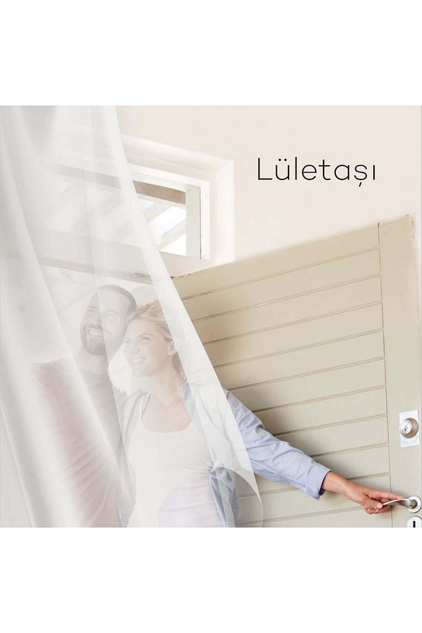 2024 Trend(LULETAŞI) Momento Silan - 2.5 Lt - Fırça Rulo - 2