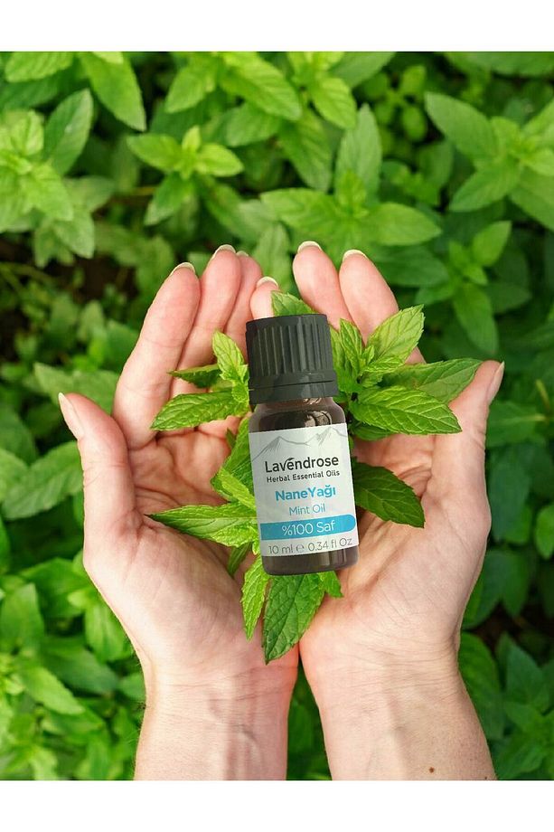 Nane Uçucu Yağı[%100 Saf Difüzör Için Aromaterapi Yağı 10 ml - 3