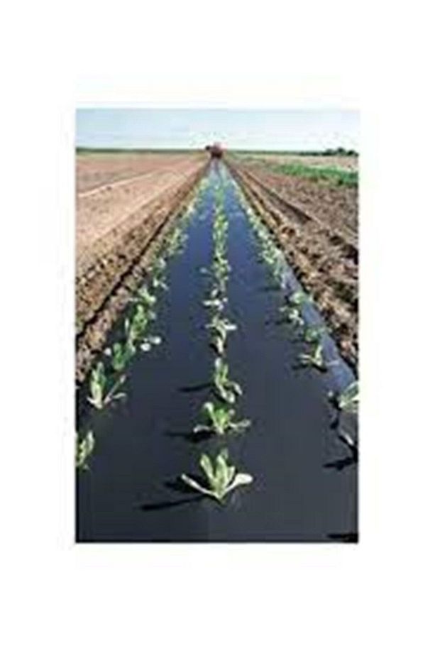 Çilek Naylonu Eni 120 Cm Deliksiz 20 Micron 30 Mt Malc Naylonu - 1