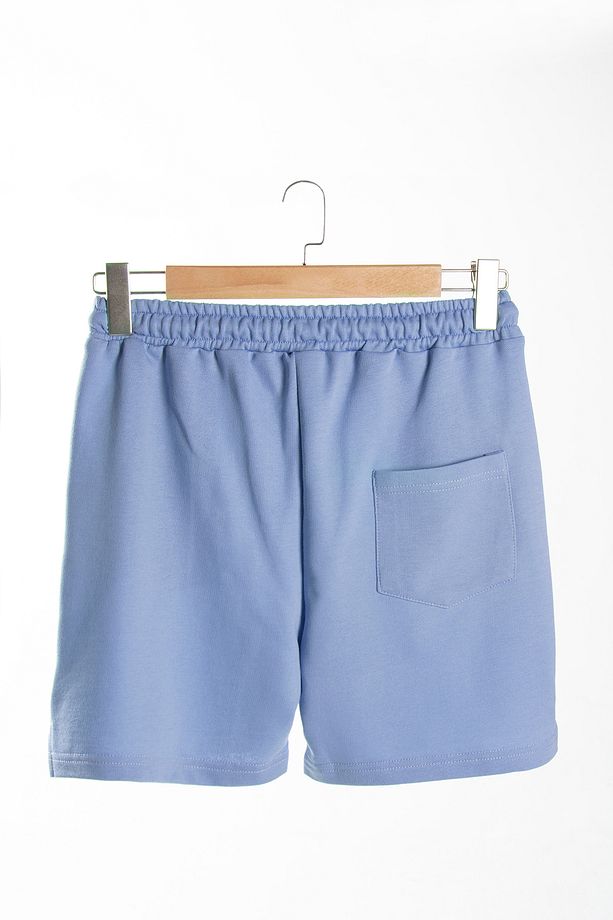Erkek Mavi Basic Regular Fit Şort & Bermuda - 5