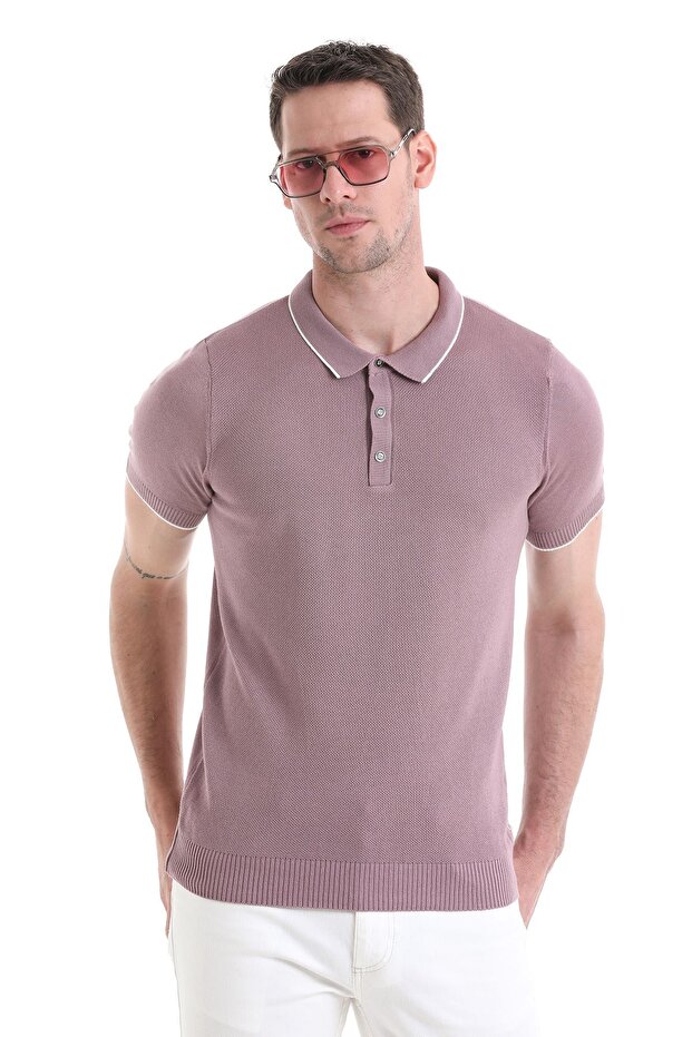 Purple Regular Fit Plain Cotton Polo Collar Knit T-shirt