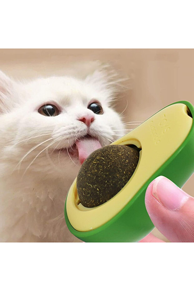 Avocado Catnip Avocado Cat Herb Ball Avocado Catnip Toy