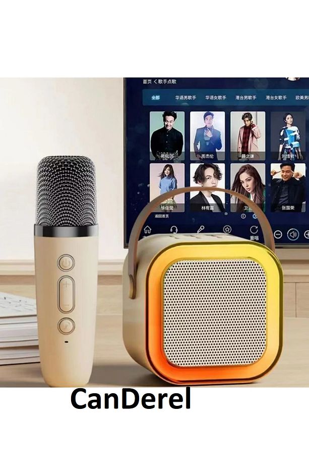 Bluetooth Karaoke Hoparlör Parti Hoparlörü Mikrofonlu Işıklı Ses Bombası Aux Usb Sd Kart Girişli - 6
