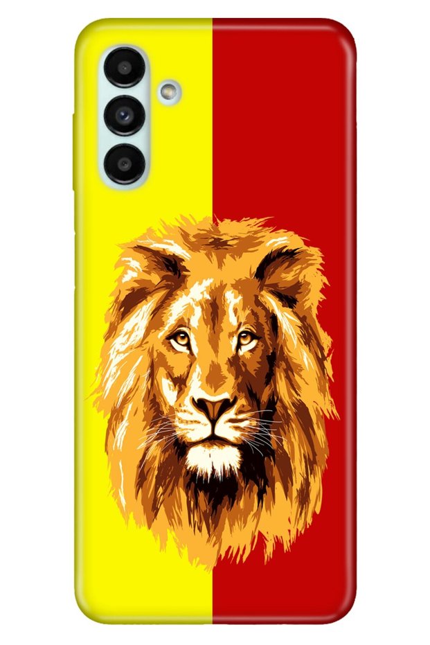 Case for Samsung Galaxy M14 Silicone Patterned Illustrated Uv Cover Yellow Red Shard Lion