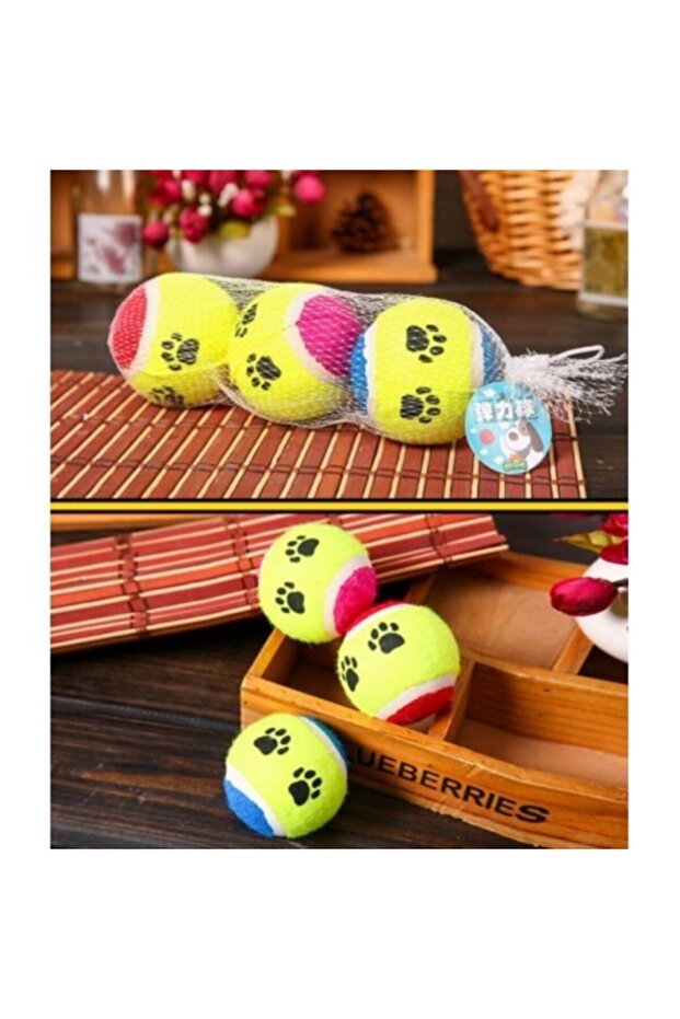 Evcil Hayvan Eğitim Topu 1 Lü Set - 4