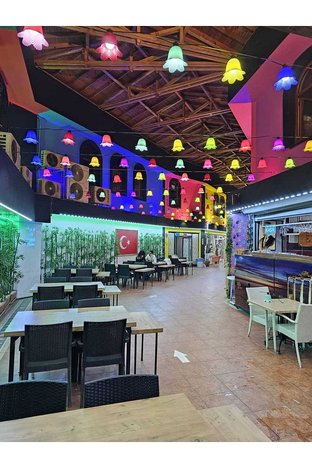 Dekoratif Renkli Ağaç Feneri 10 Adet Hazır Set Tak Çalıştır Bağlantısı Hazır Ampullu - 5