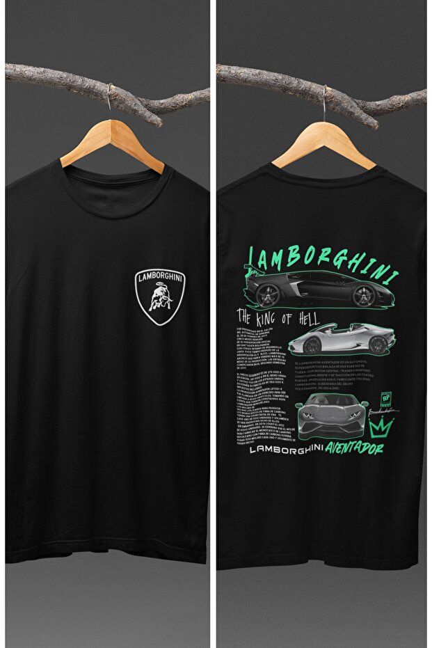 Unisex Lamborghini Aventador Back Printed T-shirt, Racing Car Racing Theme Printed T-shirt