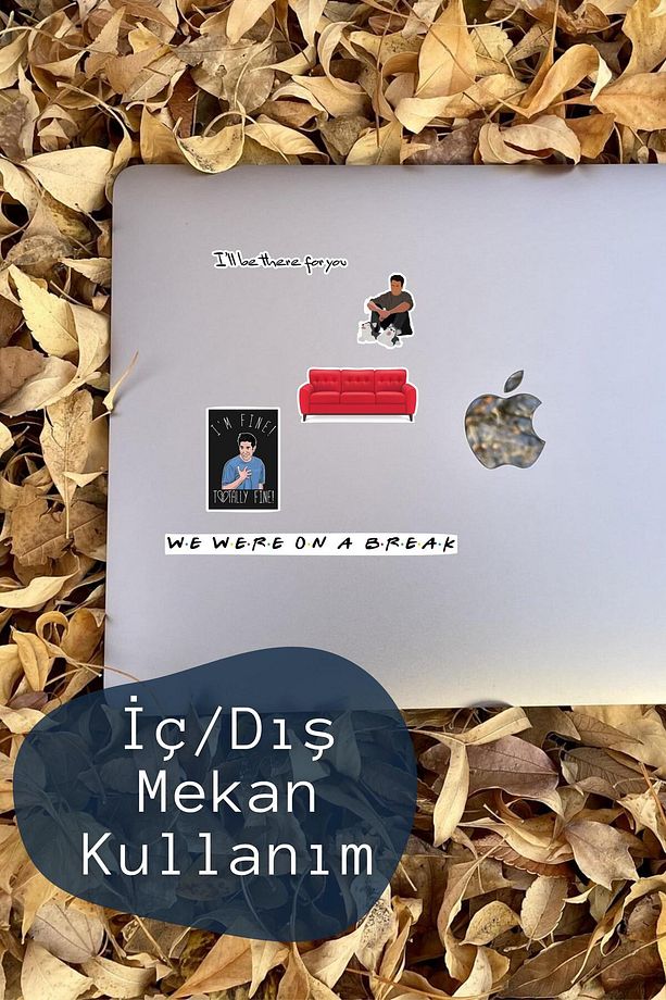 Friends Temalı Sticker ve Etiket Seti - Orta Boy - Su Geçirmez, Kalın Yapışkanlı Sticker Seti - 6